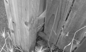 20150703_103119