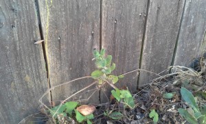 20150703_105452