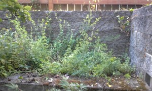 20150703_105550